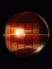anim240x320_0007.gif